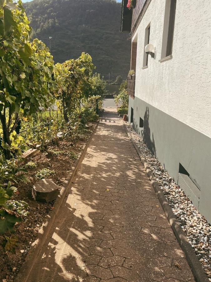 Ferienwohnung Moselflair Mit Direktem Blick Auf Die Mosel Und Weinberge Oberfell Exterior photo
